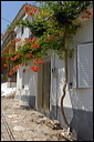 samos_taverne_aedw_t_1b5971