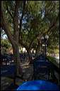 samos_taverne_aedw_t_1b59a3