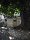 samos_taverne_aedw_t_1b5d67