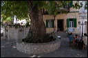 samos_taverne_aedw_t_1b603a