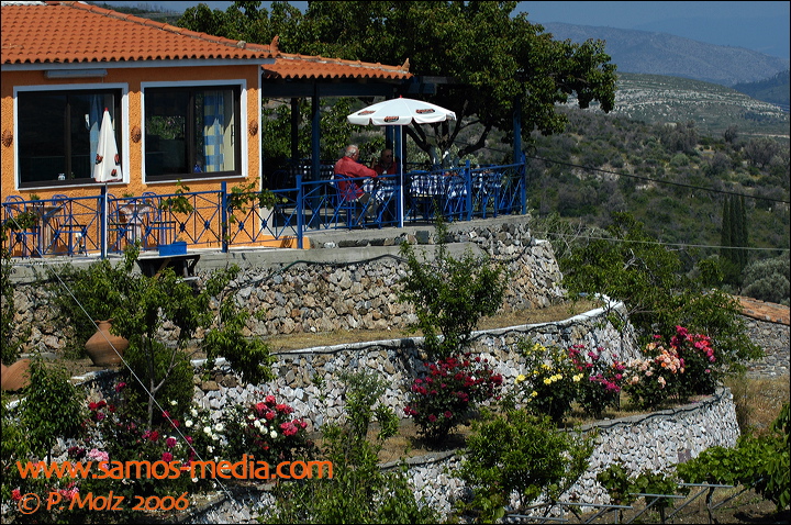 samos_taverne_aedw_t_1b5933.jpg