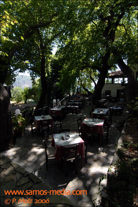 samos_taverne_aedw_t_1b595f.jpg