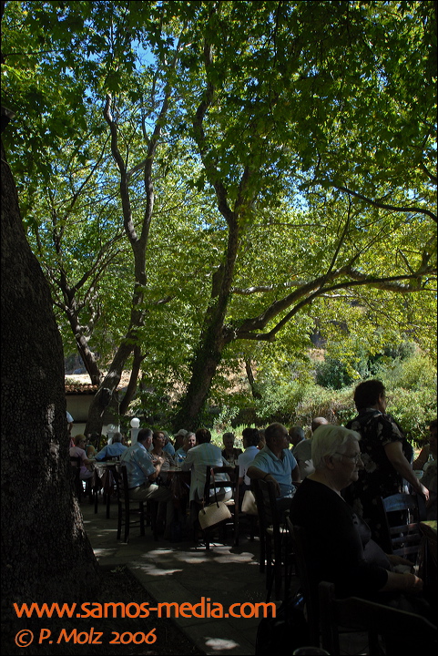 samos_taverne_aedw_t_1b5963.jpg