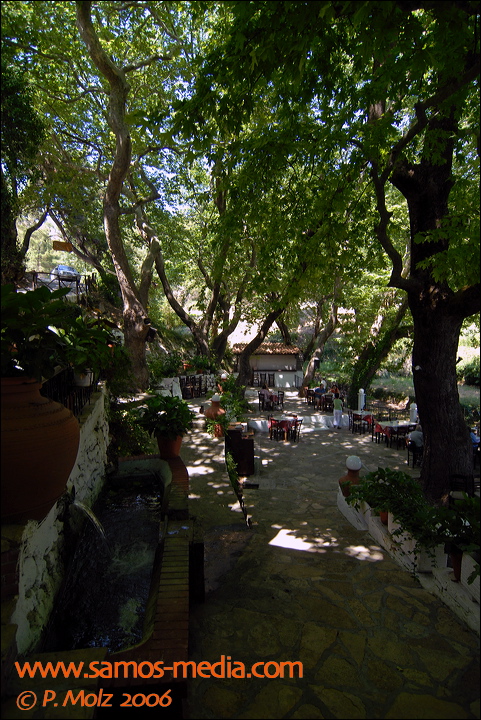 samos_taverne_aedw_t_1b6025.jpg