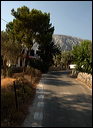 samos_taverne_aedw_t_1aff6e