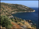 samos_taverne_aedw_t_1affb8