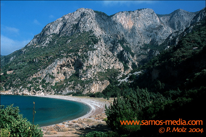 seitani_103.jpg