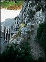 seitani_060