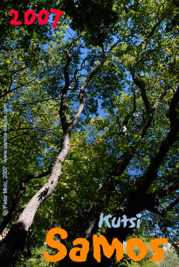 Samos_2007_V4_005