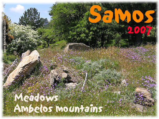 Samos_2007_V4_069