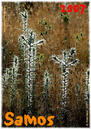 Samos_2007_V4_123