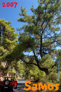 Samos_2007_V4_219
