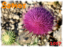 Samos_2007_V4_328
