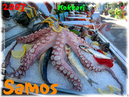 Samos_2007_V4_333