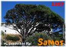 Samos_2007_V4_355